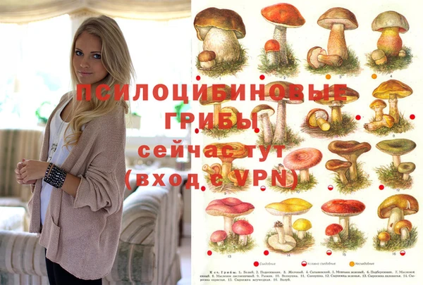 стаф Верхний Тагил